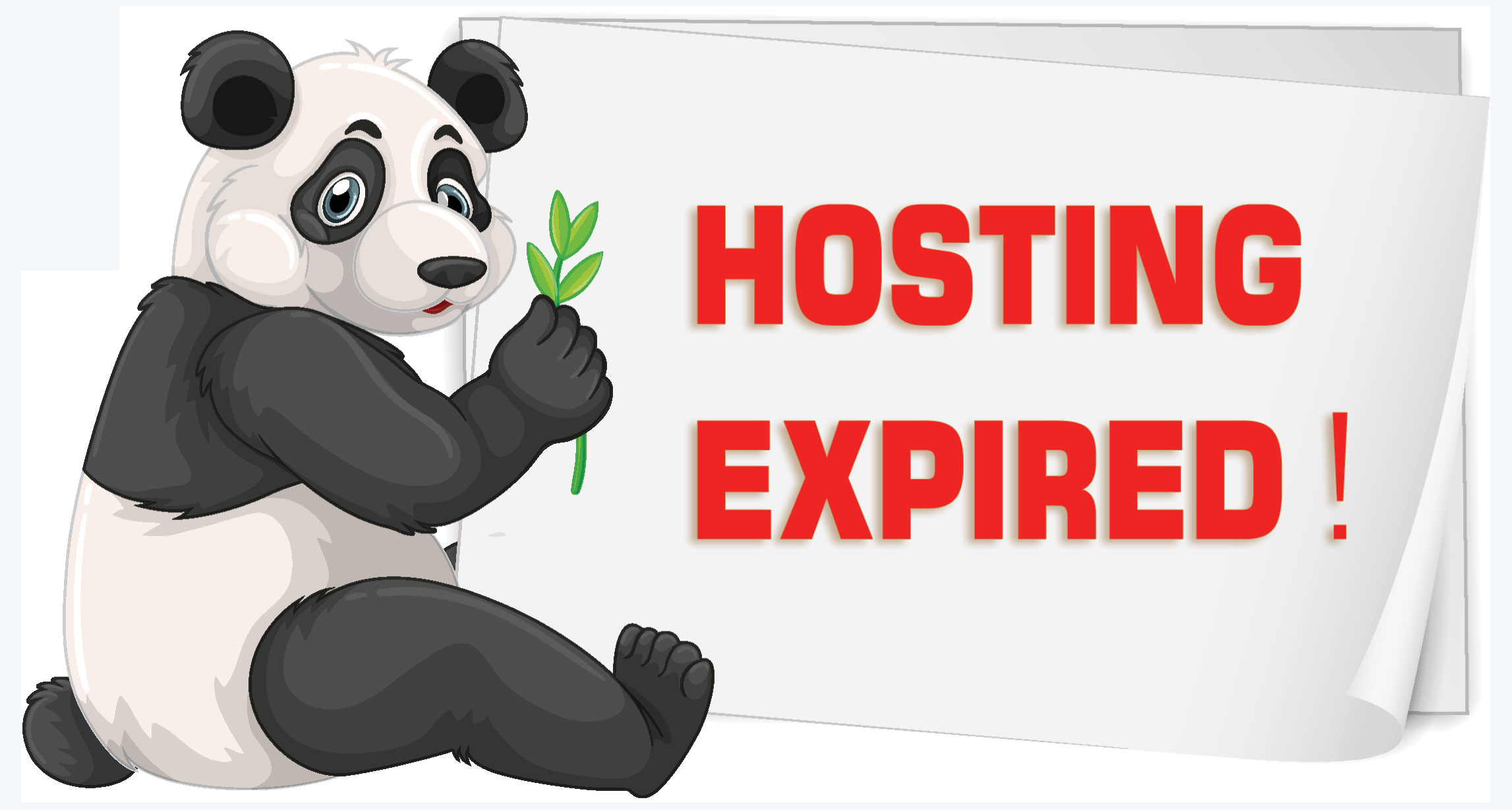 website Hosting renew